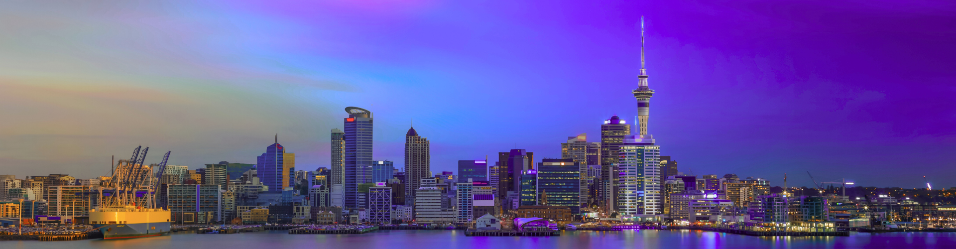 IFS Copperleaf New Zealand Reform